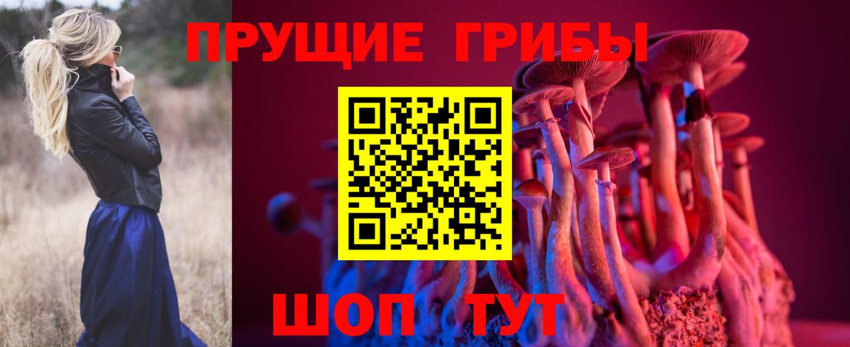 Якутск  Галлюциногенные грибы мицелий  Вход с VPN 